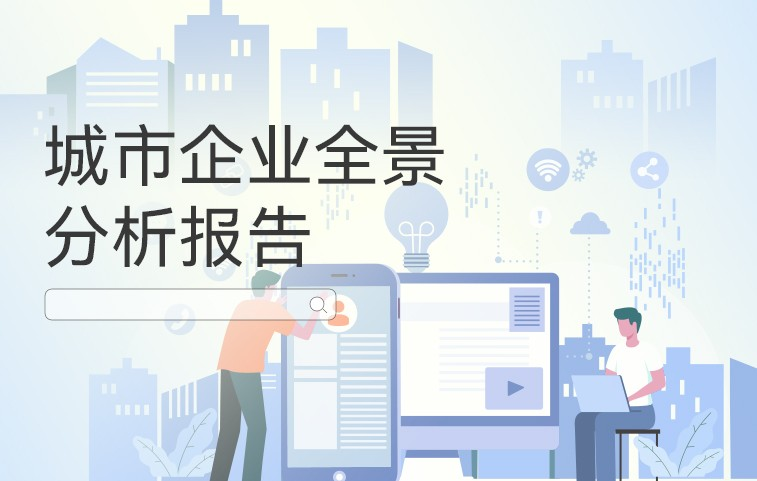 城市企业全景分析报告