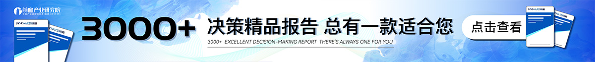 决策精品报告