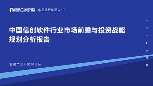 2023-2028年中国信创软件行业市场前瞻与投资战略规划分析报告